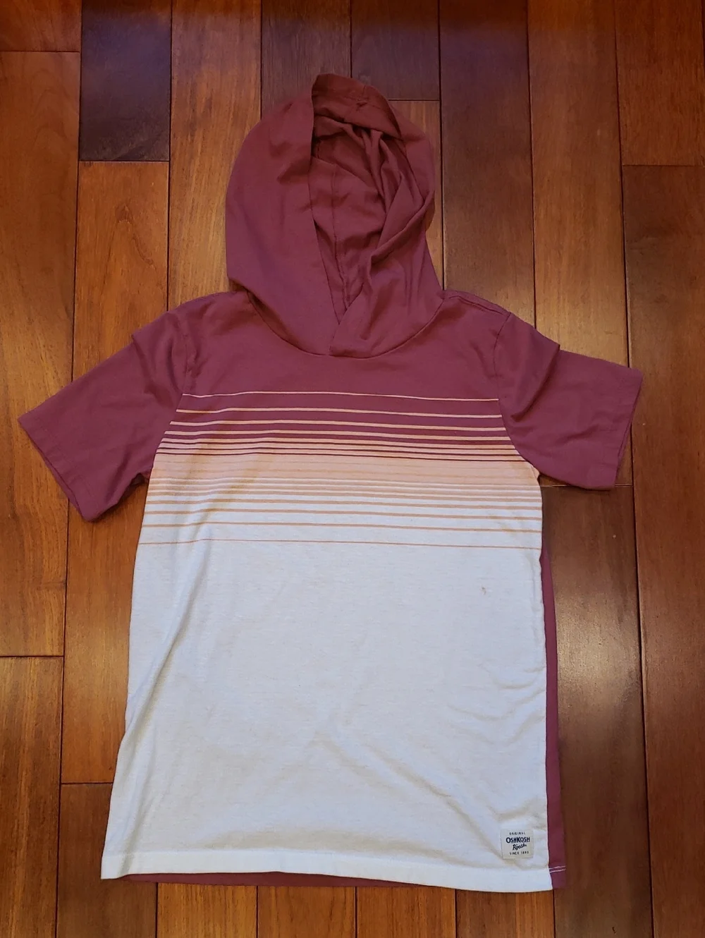 OshKosh Boys Size 12 Tank Top And Short Sleeve Hoodie
